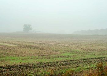 Frente fria avança sobre o Brasil e intensifica chuvas e tempestades 