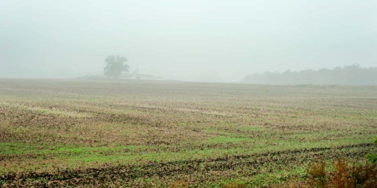 Frente fria avança sobre o Brasil e intensifica chuvas e tempestades 