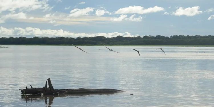 Governo inicia pagamento do auxílio para pescadores afetados pela seca