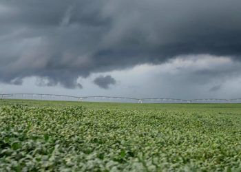 Semana será de chuva intensa no Centro-Norte do Brasil; veja previsão