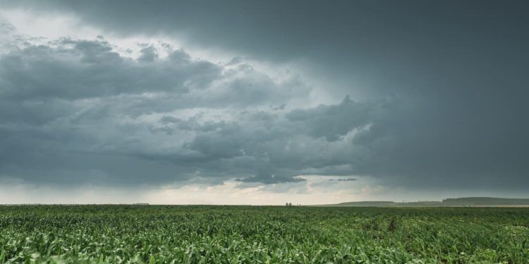 Chuva abaixo da média e calor marcam Centro-Norte de novembro a janeiro