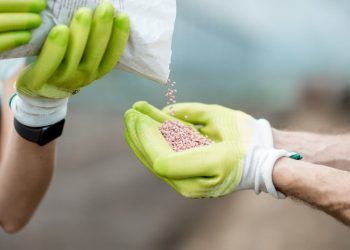 Mapa e Embrapa firmam parceria nos EUA para fortalecer inovação em fertilizantes