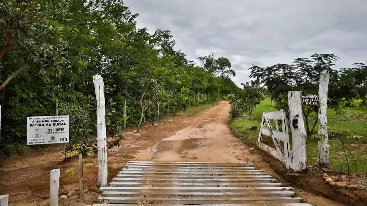 Mato Grosso, Minas Gerais e Goiás registraram maior queda de solicitações. 