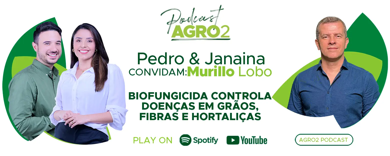 Podcast com Murillo Lobo