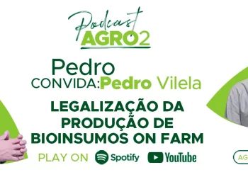 Podcast com Pedro Vilela