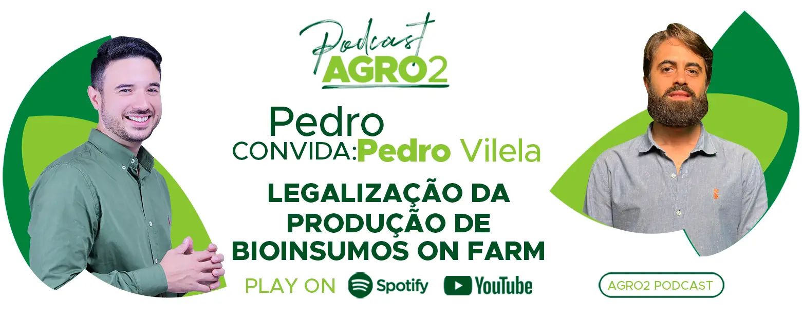 Podcast com Pedro Vilela