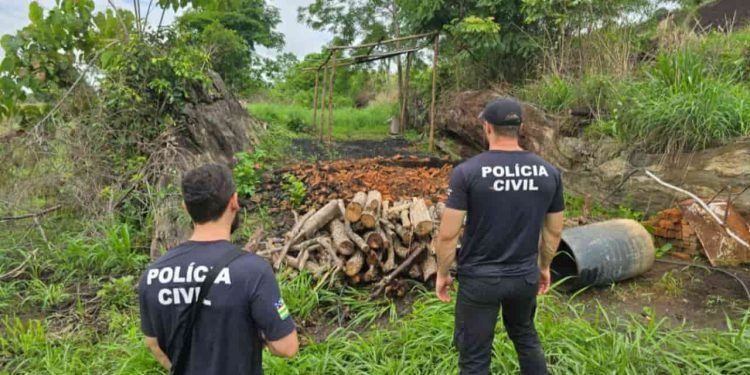 Polícia prende suspeitos de fabricação clandestina de carvão, em Goiás