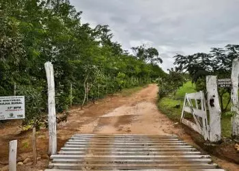 Imóveis rurais de grandes devedores da União podem ser destinados à reforma agrária