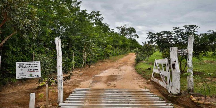 Imóveis rurais de grandes devedores da União podem ser destinados à reforma agrária