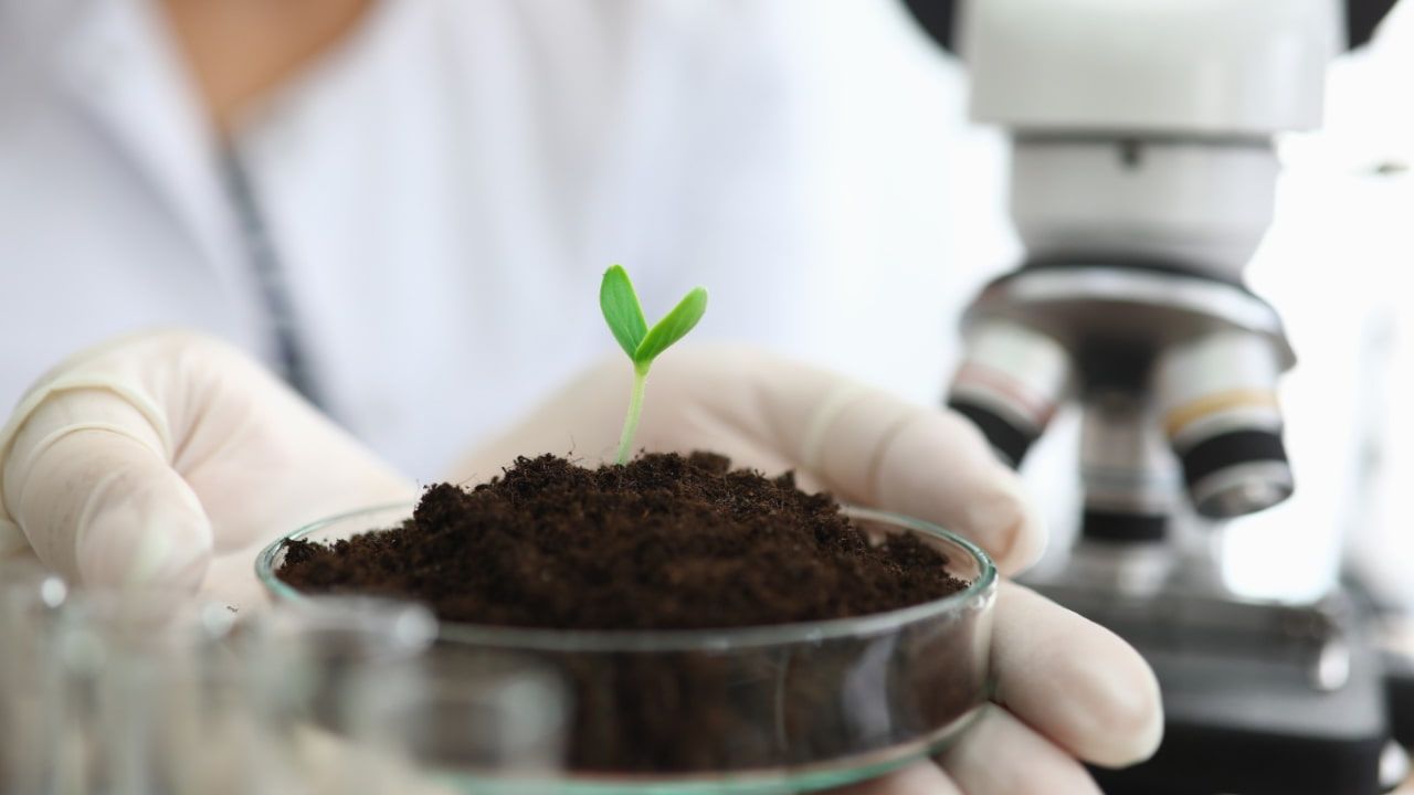 Projeto de lei que regulamenta os bioinsumos no Brasil tramita no Congresso Nacional. 