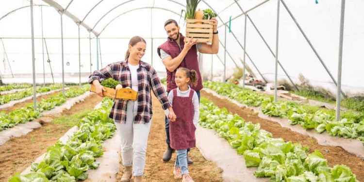 Sancionada lei que autoriza R$ 500 milhões para a agricultura familiar