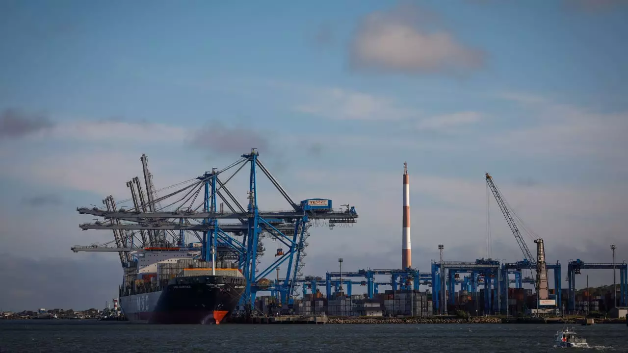 Arroba do boi gordo alcança média de R$ 340; alta é de 46% desde agosto 3 Abates aumentam e exportação são recorde.