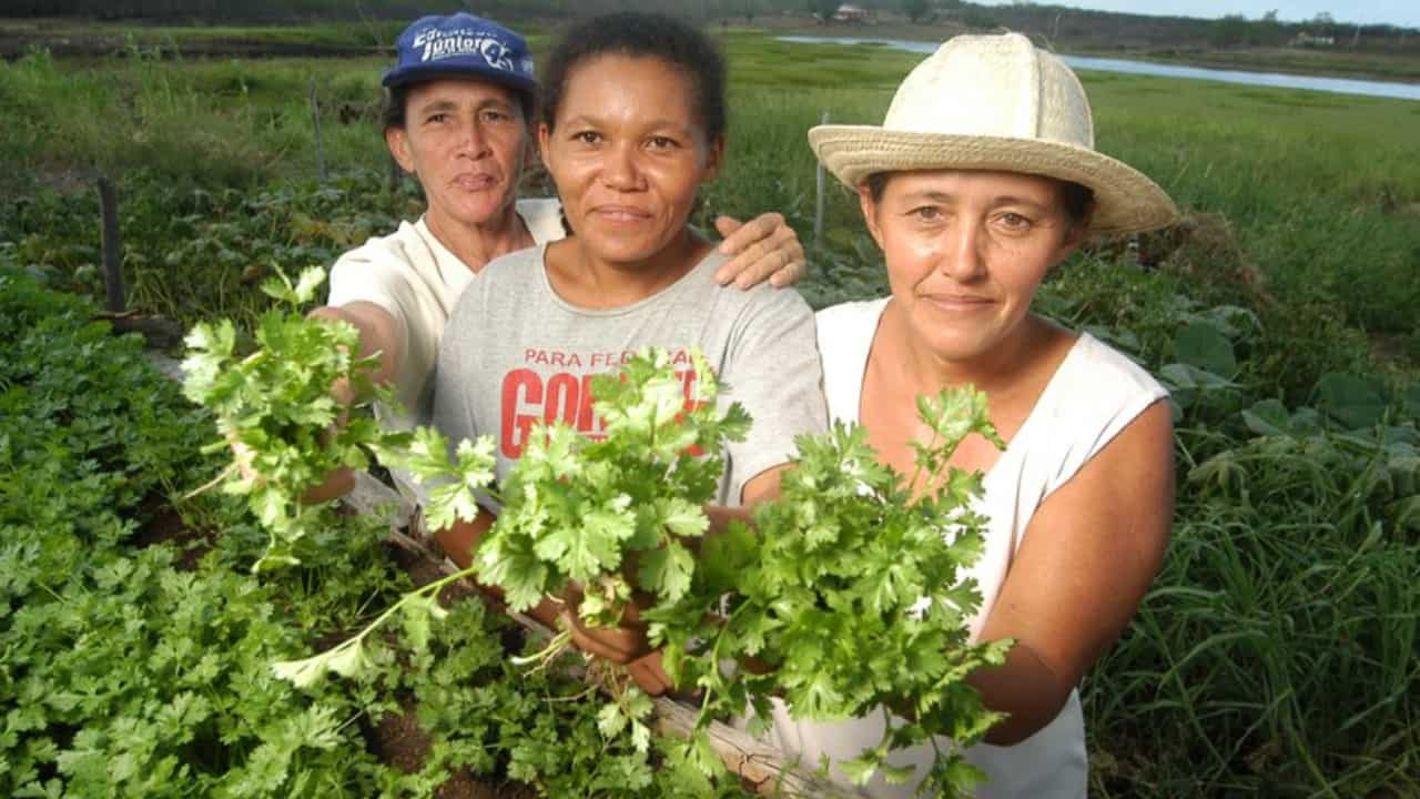 Adjudicação é uma das prateleiras do Programa Terra da Gente do governo federal. 