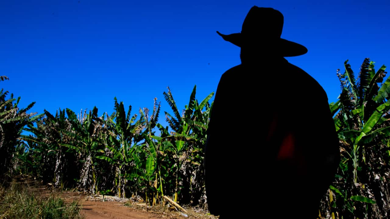 Advocacia da União acredita que trará eficiência na cobrança de dívidas.