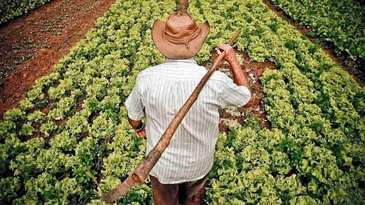 Agricultor tem acesso a informações sobre linhas de crédito e documentação necessária.