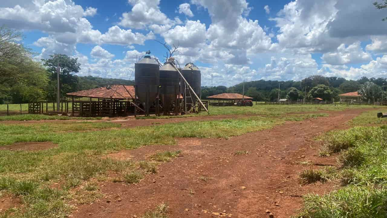 Alerta para produtores negociarem com empresas regulares.