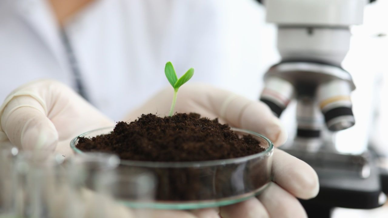 Associações de produtores lançam campanha Eu confio no On Farm. 