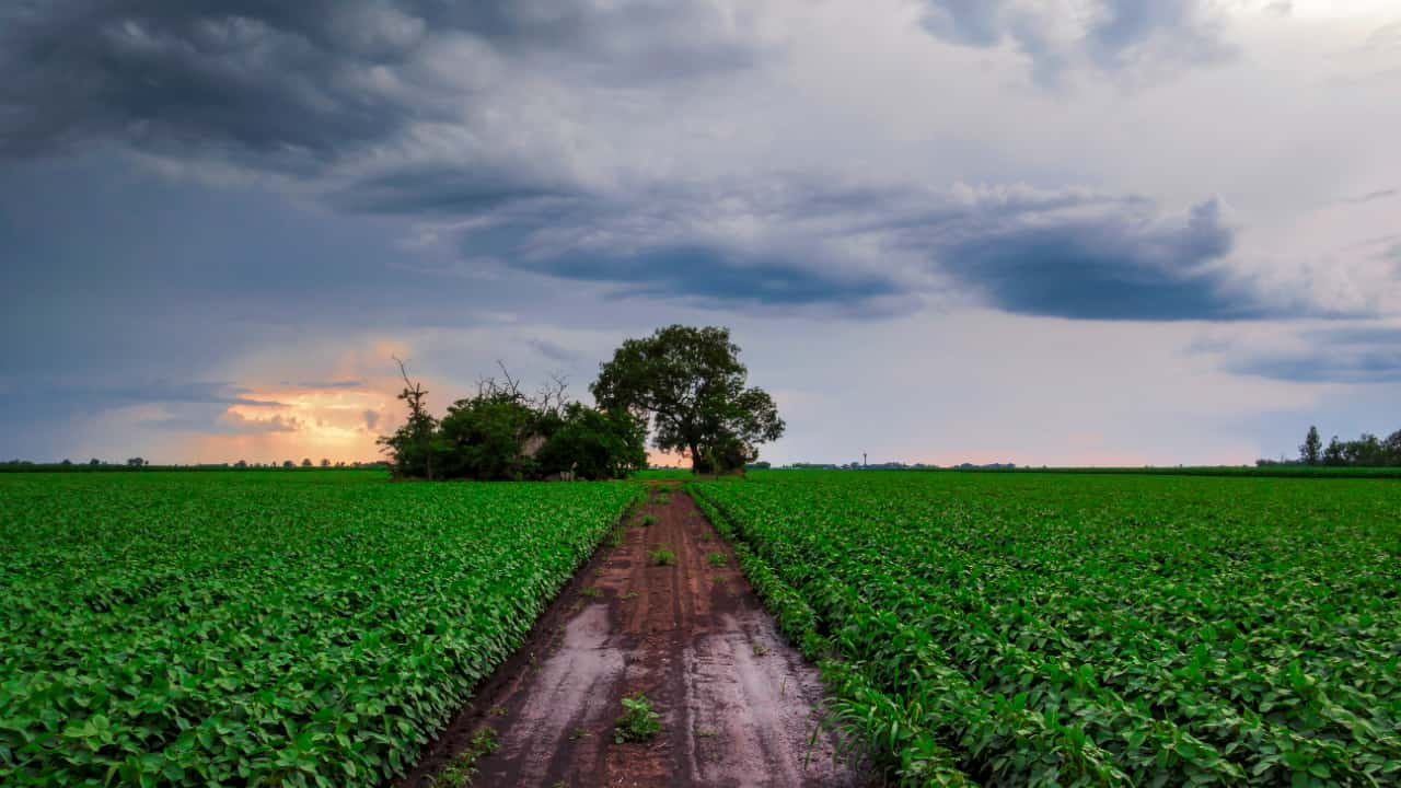 Chuva deve seguir em novembro no Centro-Norte do Brasil. 