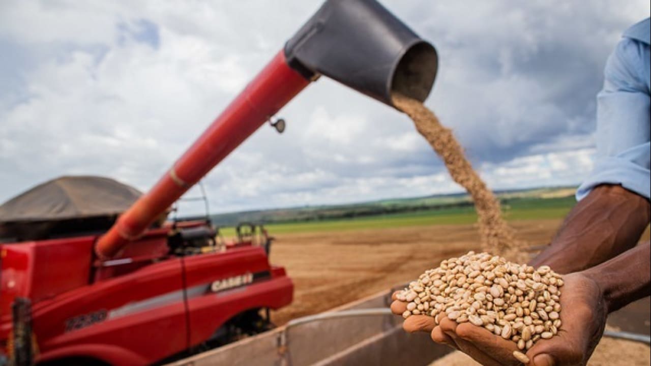 Destaque para estimativa de maior crescimento do arroz, feijão e soja. 