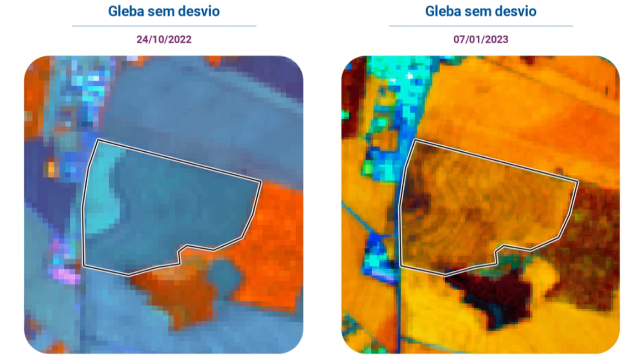 Imagens mostram que produtores não desviaram área de soja na aplicação de recursos. 