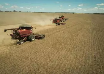 Valor Bruto da Produção Agropecuária brasileira deve cair 1,9% em 2024