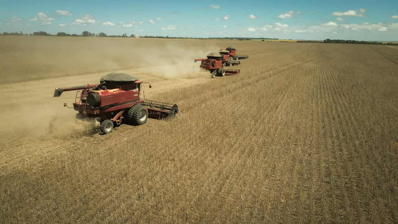 Valor Bruto da Produção Agropecuária brasileira deve cair 1,9% em 2024