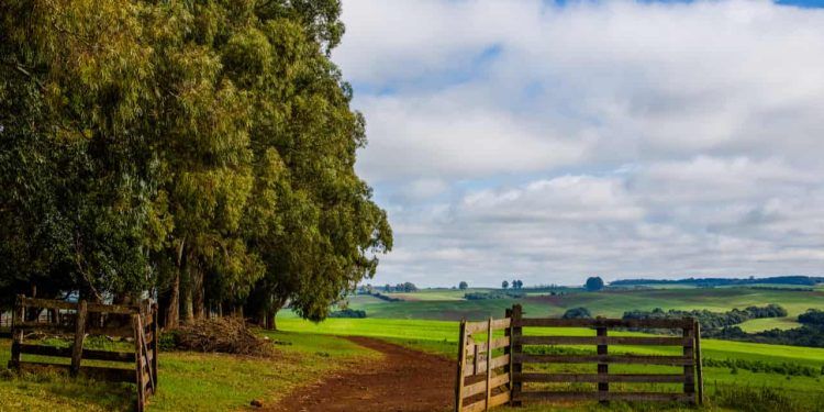 Projeto de Lei para criação de delegacias especializadas em conflitos agrários é aprovado