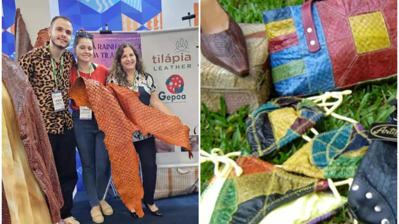 Couro de tilápia vira matéria-prima de roupas, sapatos e outros produtos 2 Pesquisadores de universidade desenvolvem projeto para agregar valor ao peixe.