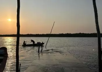 Pescadores devem emitir licença profissional no Sistema PesqBrasil até 31 de dezembro