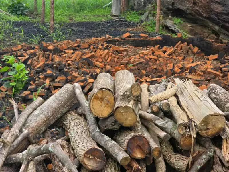 Polícia prende suspeitos de fabricação clandestina de carvão, em Goiás 2 Produção clandestina