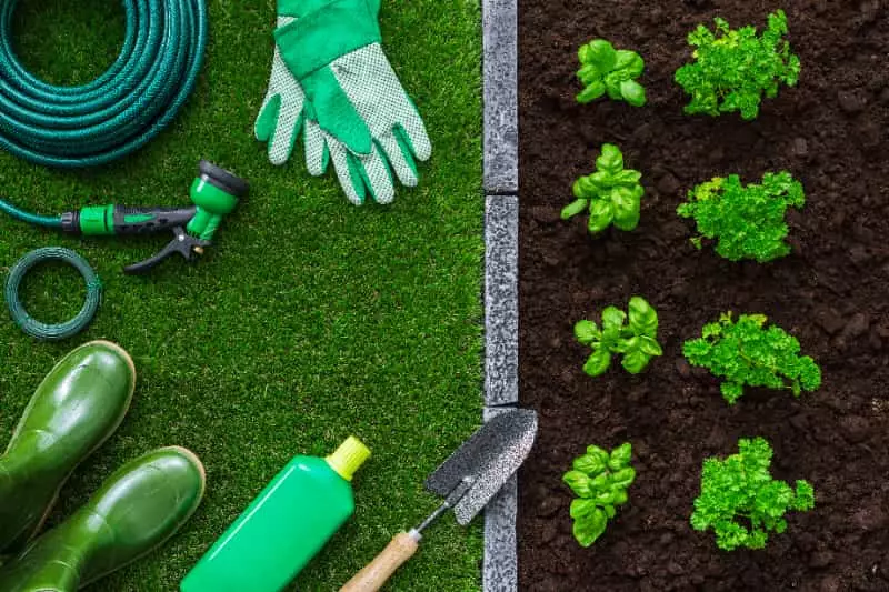 Embrapa abre inscrições para curso online gratuito sobre produção orgânica 2 Produção orgânica