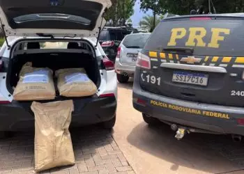 Motorista é preso por transporte ilegal de 100 kg de defensivo agrícola proibido no Brasil