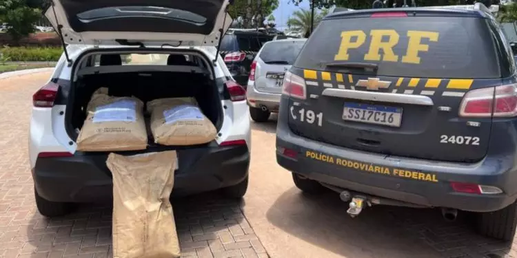 Motorista é preso por transporte ilegal de 100 kg de defensivo agrícola proibido no Brasil