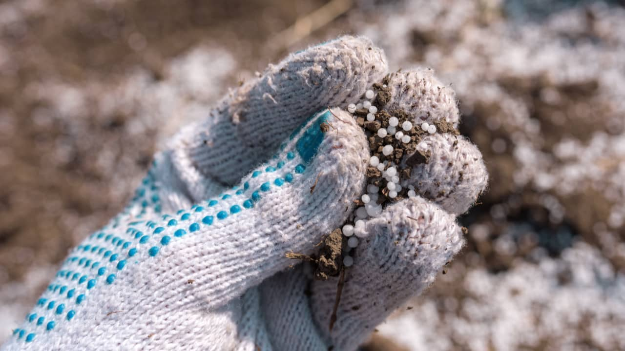 Situação é favorável para o produtor rural investir em fertilizantes. 