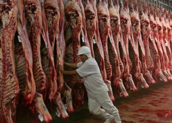 Exportações de carne bovina batem recorde e crescem 43% em outubro no Brasil