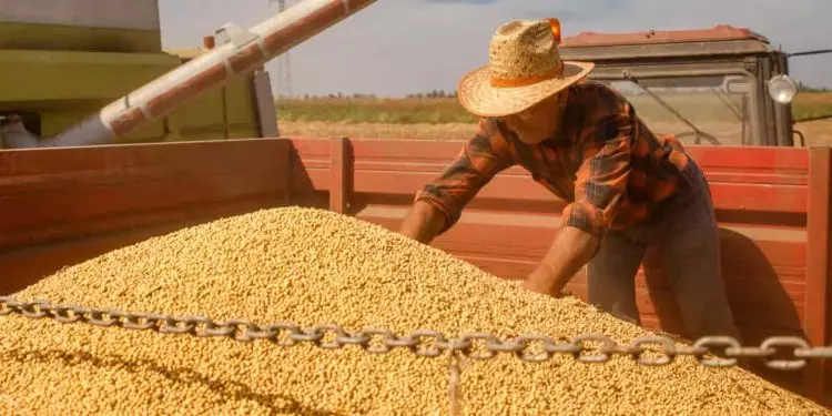 Abertas as inscrições para o 10º Congresso Brasileiro de Soja; confira 1 Abertas as inscrições para o 10º Congresso Brasileiro de Soja; confira