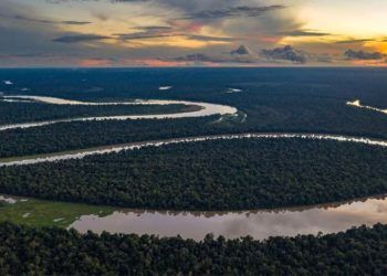 Com a maior reserva de água doce, Brasil enfrenta desafios na gestão dos recursos hídricos