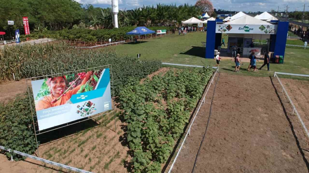 Embrapa apresenta soluções tecnológicas sustentáveis em feiras agropecuárias. 