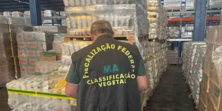 Mapa realiza apreensão de arroz tipo 5 identificado como tipo 1, em São Paulo