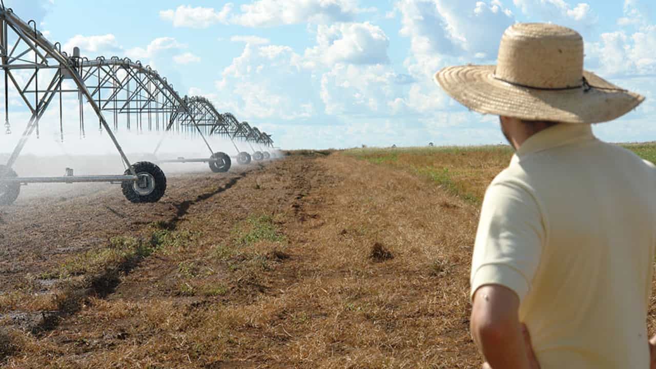 Minas Gerais, Bahia e Goiás têm as maiores áreas de lavouras irrigadas do País. 