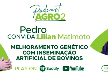 Podcast com Lilian Matimoto