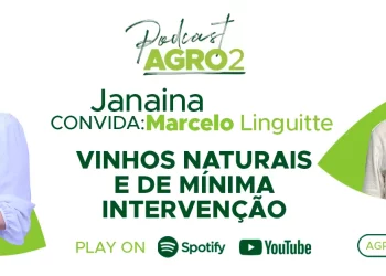Podcast com Marcelo Linguitte