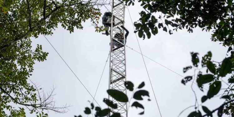 Primeira torre da Amazônia é construída para medir gases do efeito estufa