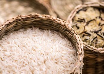 Produção de arroz em Goiás deve ter aumento de 19,6% em 2025; confira dados