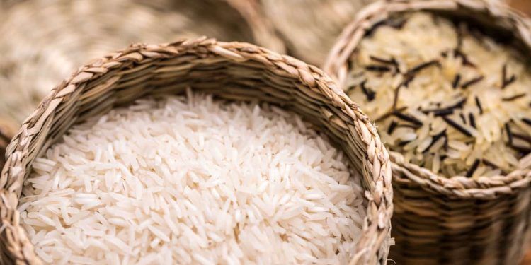 Produção de arroz em Goiás deve ter aumento de 19,6% em 2025; confira dados