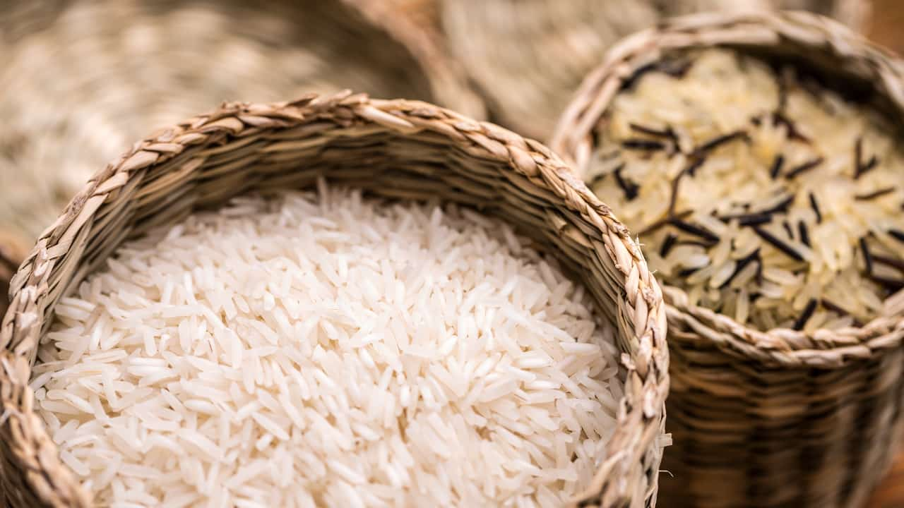 Produção de arroz em Goiás deve ter aumento de 19,6% em 2025; confira dados