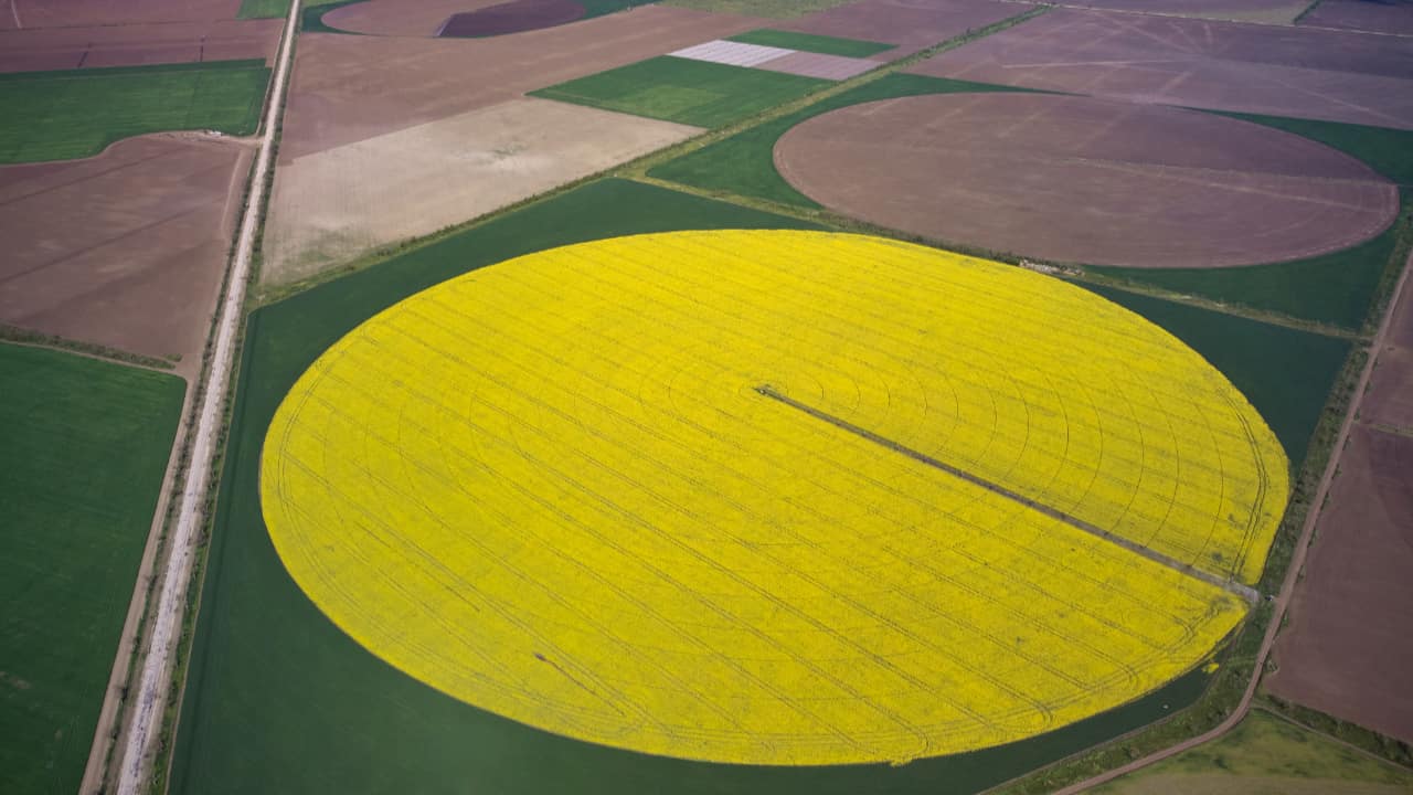 Oeste baiano se torna o maior polo de irrigação por pivôs centrais do Brasil