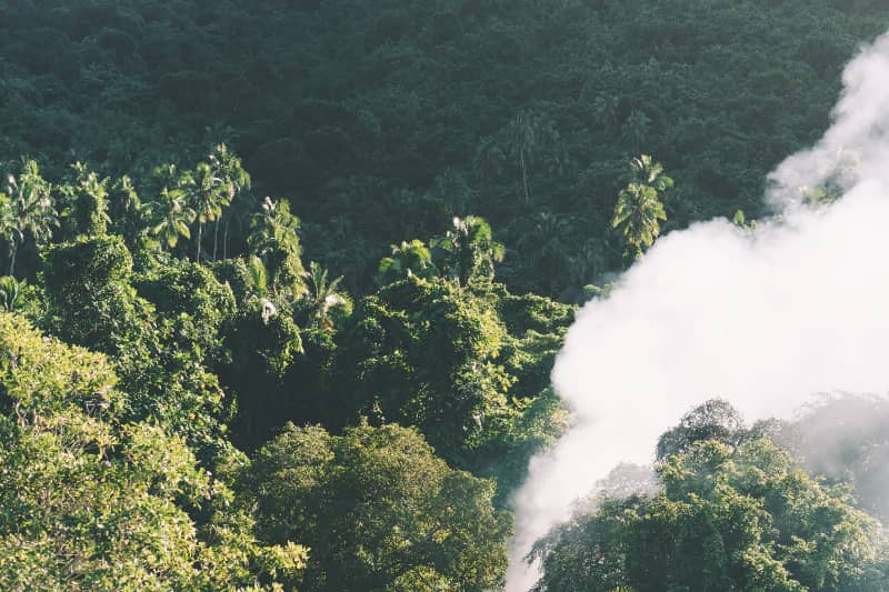 Amazônia