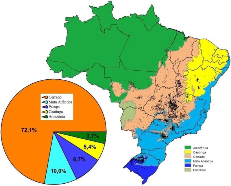 Área irrigada no Brasil chegou a 2,2 milhões de hectares. 