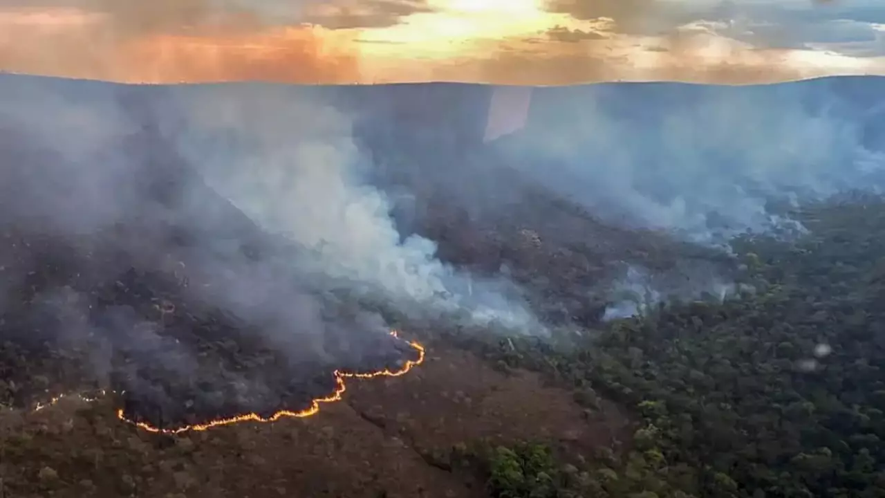 Áreas não produtivas e propriedades irregulares registraram 10 vezes mais focos de calor.